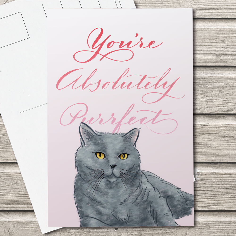 You are Purrfect Postcard