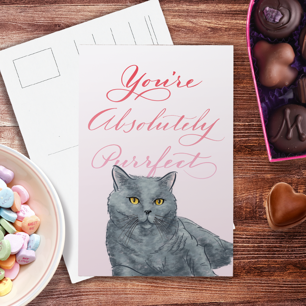 You are Purrfect Postcard