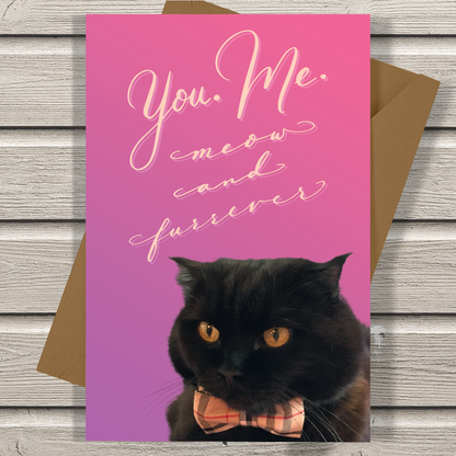 You. Me. Meow and Furrever