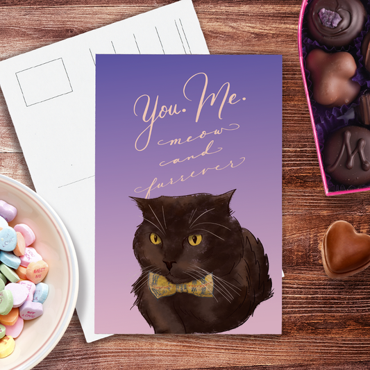 You. Me. Meow and Furrever postcard