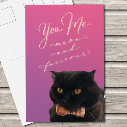 You. Me. Meow and Furrever postcard