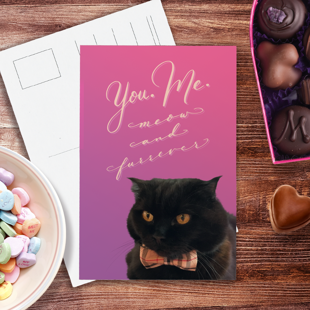 You. Me. Meow and Furrever postcard