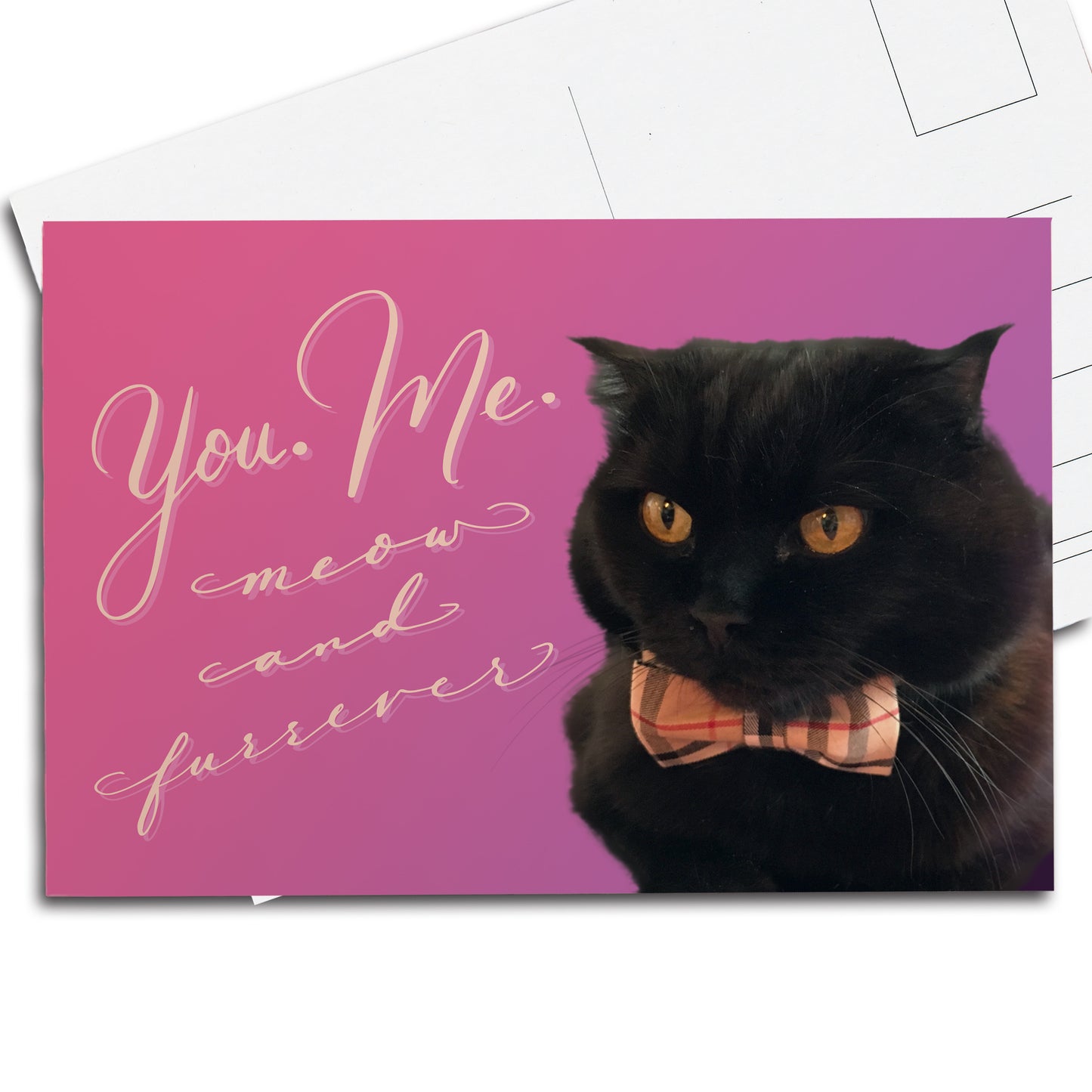 A thumbnail view of the postcard: "You. Me. Meow and Furrever"