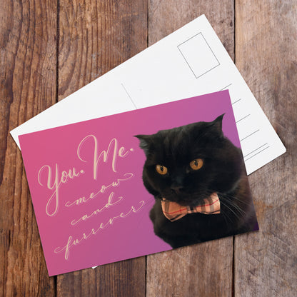 A top view of the postcard: "You. Me. Meow and Furrever"