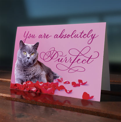 A lifestyle view of the greeting card: "You are absolutely Purrfect"