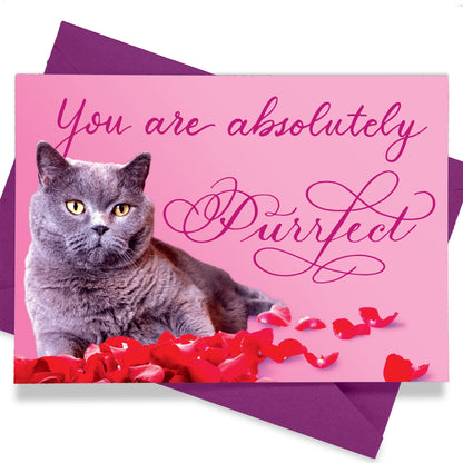 A thumbnail view of the greeting card: "You are absolutely Purrfect"