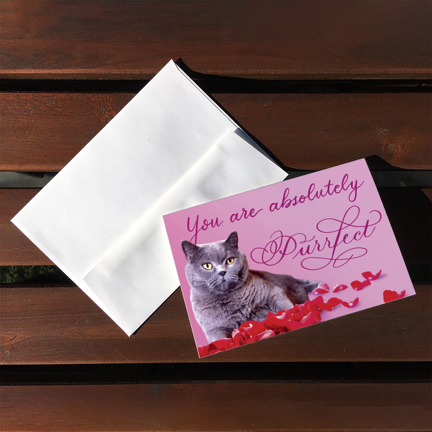 A top view of the greeting card: "You are absolutely Purrfect"