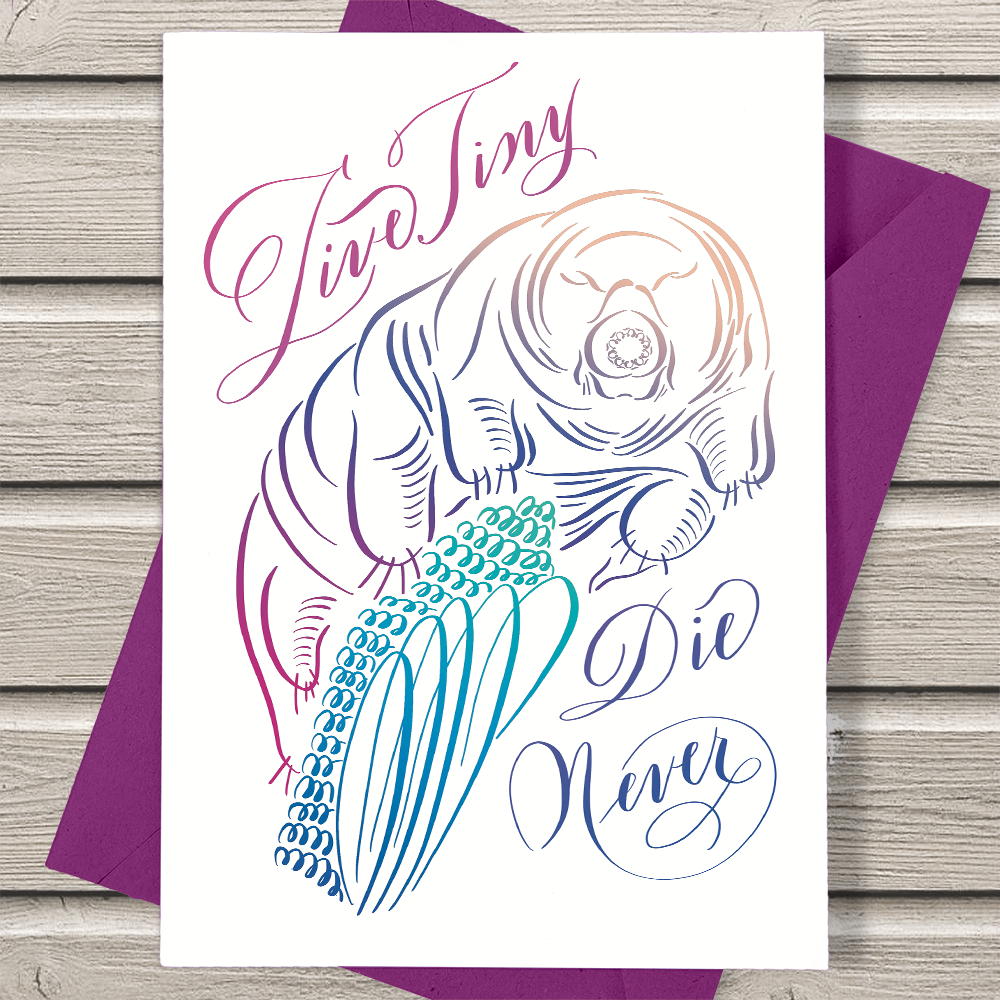 Live Tiny, Die Never | Tardigrade Calligraphy Illustration | Greeting Card - Nibs and Scripts