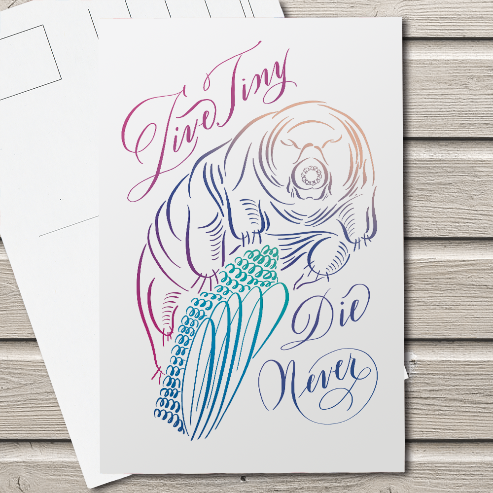 Live Tiny, Die Never | Tardigrade Calligraphy Illustration | Post Card - Nibs and Scripts